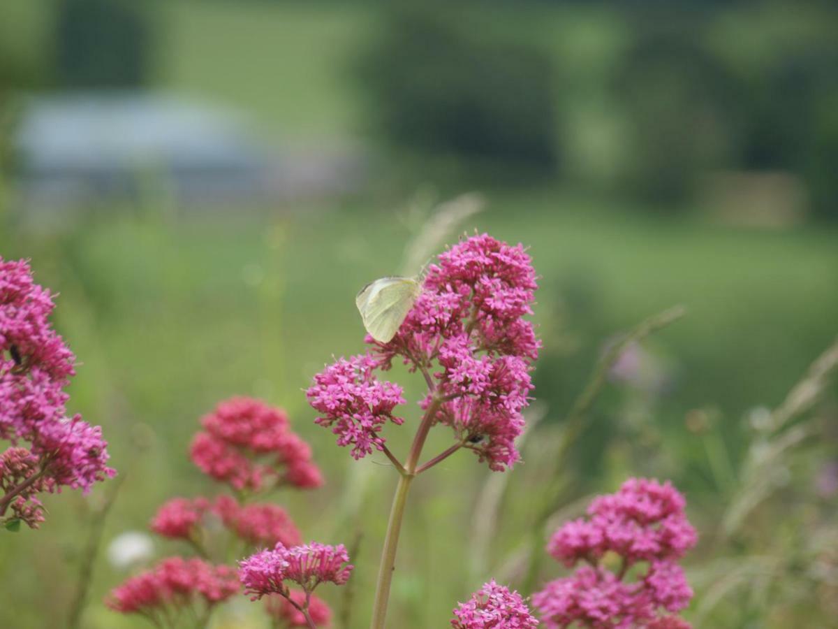 Incheoch Farm Cottage Kilry 外观 照片
