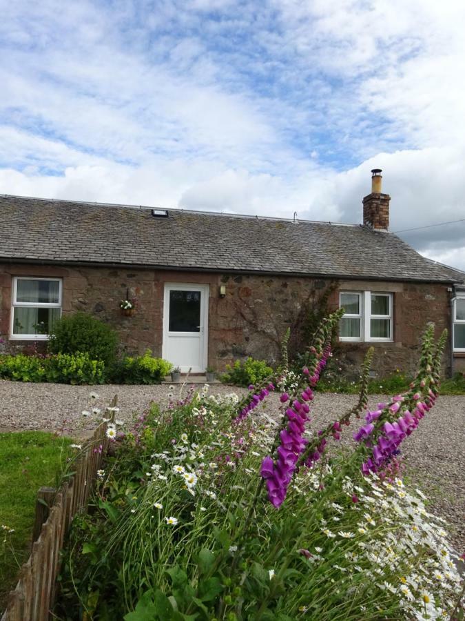 Incheoch Farm Cottage Kilry 外观 照片